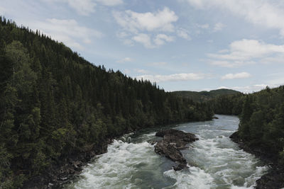 Scenic view of river amidst trees against sky