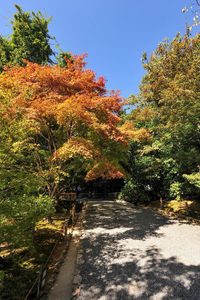 Trees by plants against sky during autumn