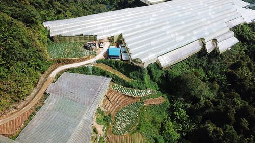 High angle view of road amidst trees