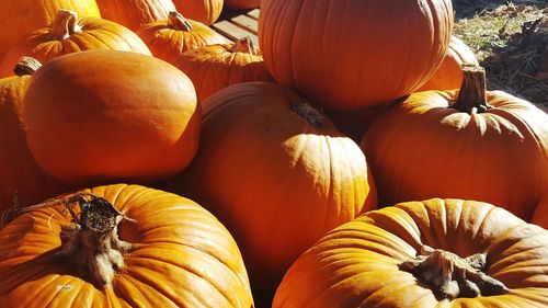 Close-up of pumpkins for sale at market