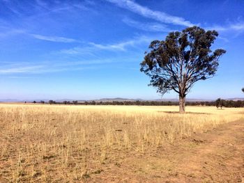 Scenic view of field against cloudy sky