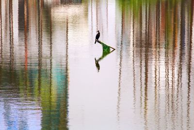 Reflection of man in water