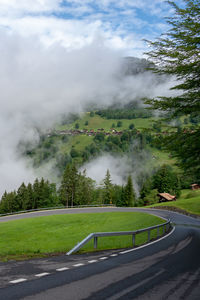 Scenic view of road amidst trees against sky