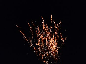 Low angle view of firework display at night