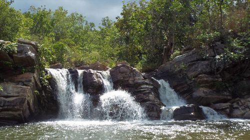 Scenic view of waterfall in forest