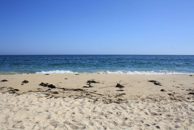 Scenic view of beach against clear blue sky