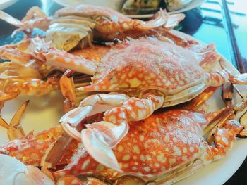 Close-up of seafood in plate