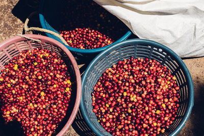 High angle view of fruits in basket