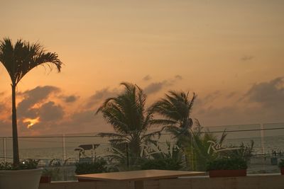 Palm trees by swimming pool against sky during sunset