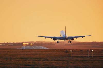 Airplane landing on runway. traffic at airport at sunset.