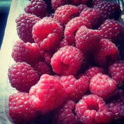 Full frame of strawberries