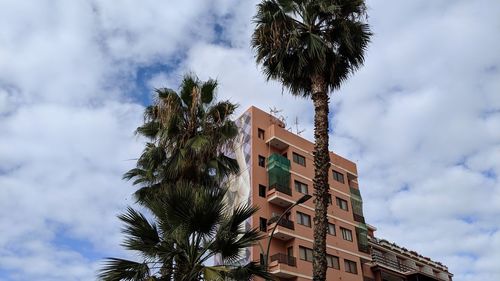 Low angle view of palm trees and building against sky