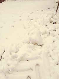 Close-up of snow covered landscape