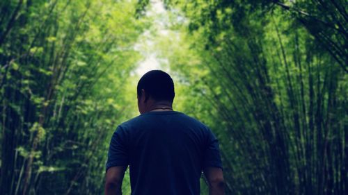 Rear view of man standing in forest