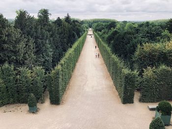 Panoramic view of gardens against sky