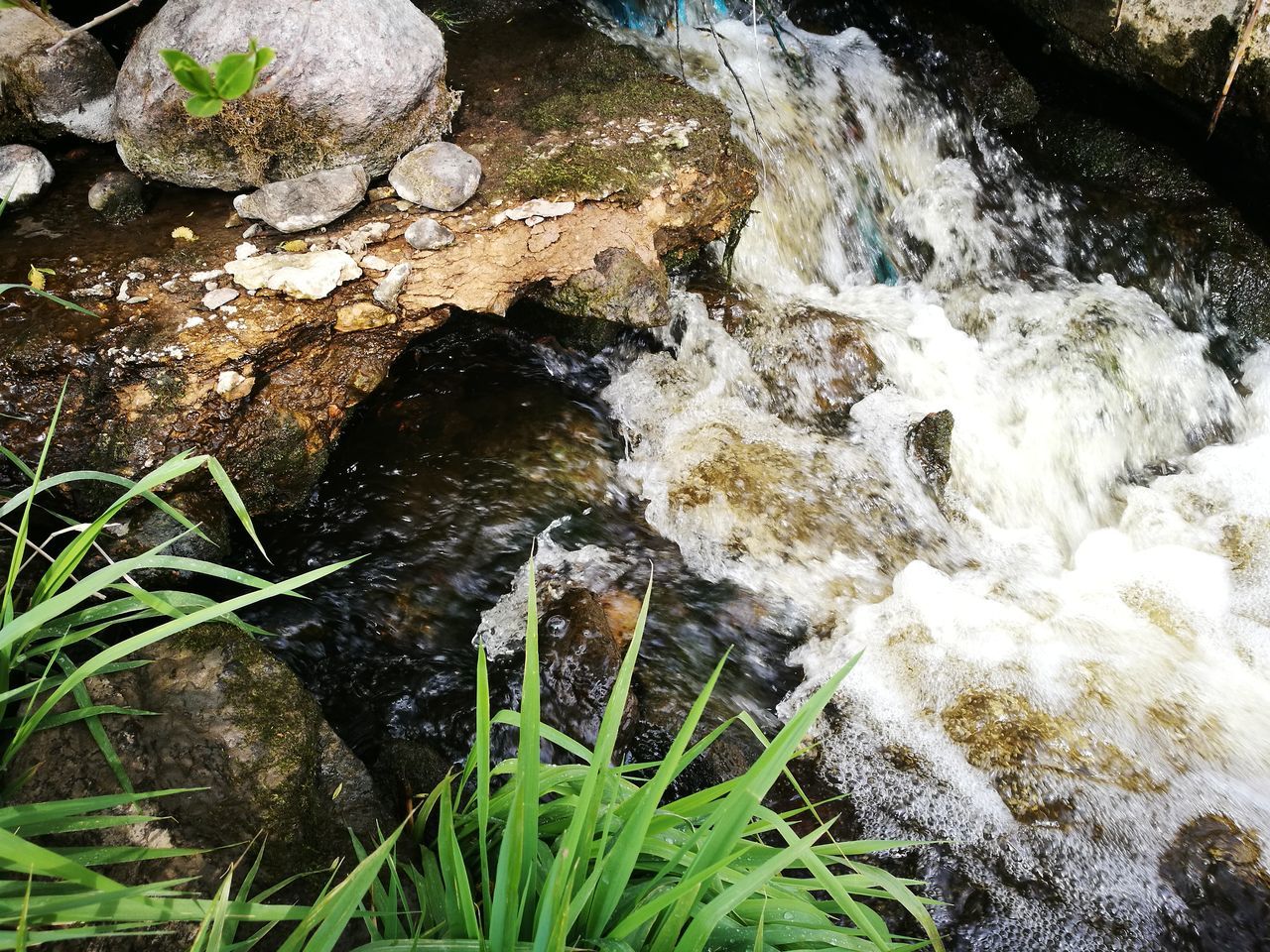 motion, water, flowing water, waterfall, nature, high angle view, rock - object, long exposure, outdoors, beauty in nature, day, no people, river, running water, rapid, forest, power in nature, freshness