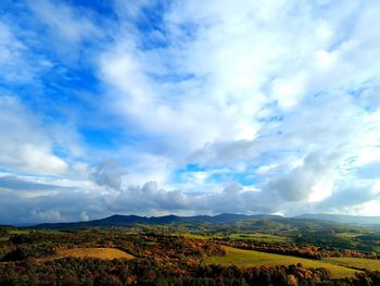 Scenic view of field against sky