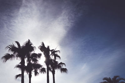 Low angle view of trees against sky