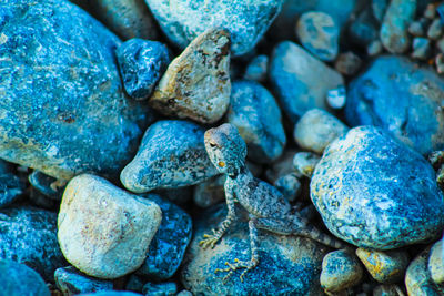 Full frame shot of stones