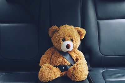 Close-up of teddy bear in car