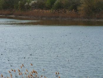 Scenic view of lake