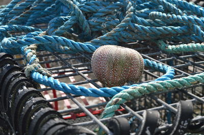 Close-up of fishing net