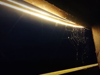 Low angle view of illuminated spider web against black background