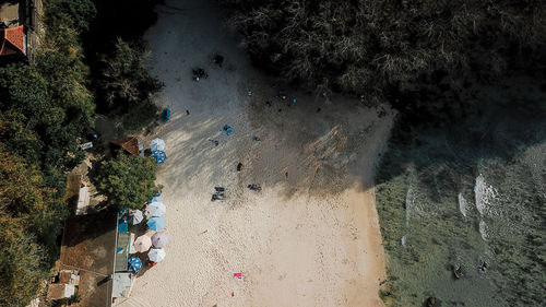 High angle view of road amidst trees