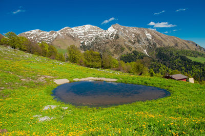 Mountain lake surrounded by flourishing vegetation