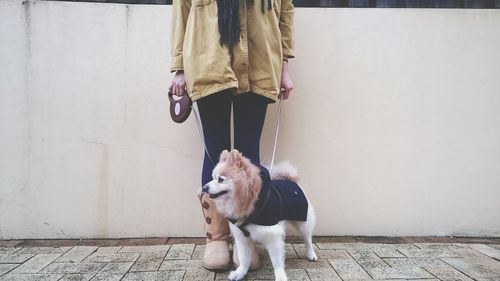 Low section of woman with dog standing on footpath against wall