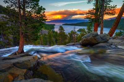 Scenic view of waterfall in forest