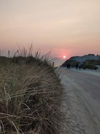 Scenic view of snowy field against sky during sunset