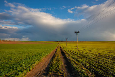 Muddy dirt road among fields afres heavy storm.  central bohemian highlands, czech republic.