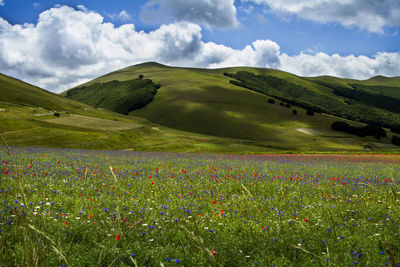 Countryside landscape against clouds