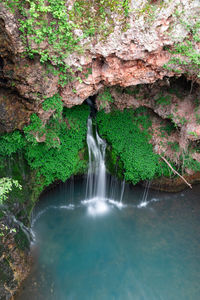 Scenic view of waterfall in forest