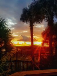 Silhouette palm trees on beach against sky during sunset