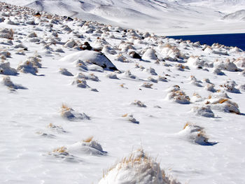 High angle view of frozen water