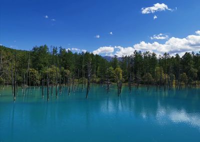 Scenic view of swimming pool by lake against sky