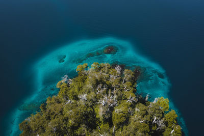 High angle view of lake