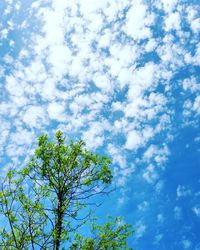 Low angle view of trees against cloudy sky