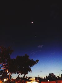 Low angle view of silhouette trees against sky at night