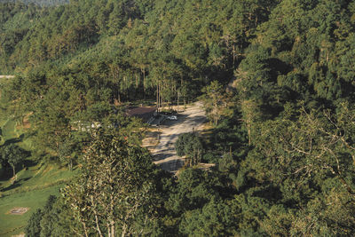 High angle view of road amidst trees in forest