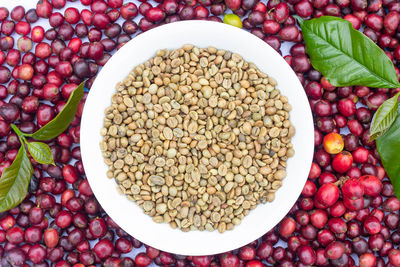 High angle view of fruits in bowl