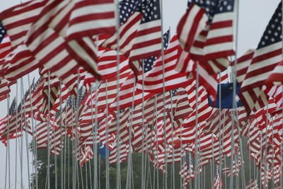 Full frame shot of american flags