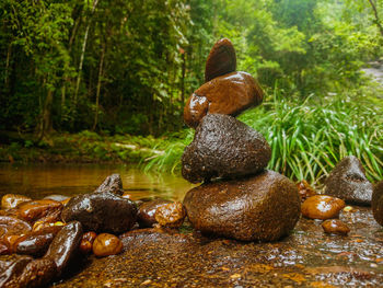 Stack of pebbles on rock in forest