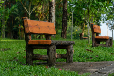 Empty bench in park