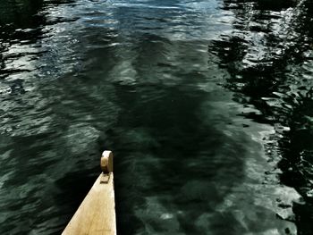 View of lake with trees in background