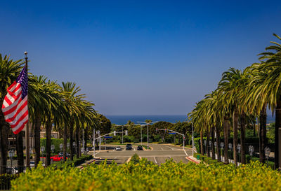 Palm trees on beach against clear blue sky