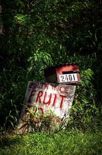 Plants growing on field