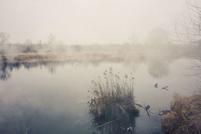 Scenic view of lake in foggy weather